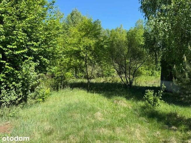 Dom do zamieszkania blisko jeziora!