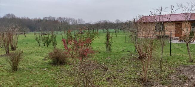 Starkowo - Ustka 4 działki budowlane plus dom
