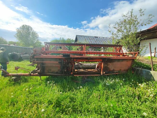 Sprzedam Bizona Z056