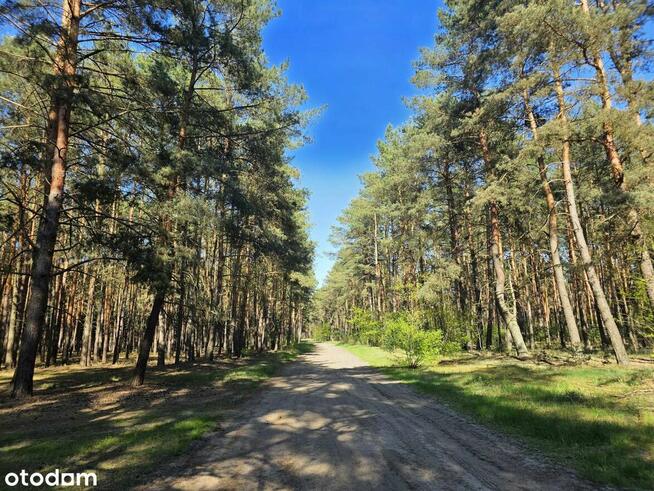 Piękne działki w Kaszczorze, blisko Jeziora Wieleńskiego