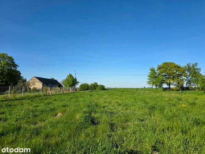 Działka budowlana w Dryżynie - blisko Głogowa!