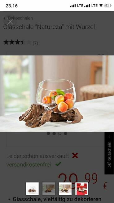 Akwarium Szklana miska Natureza korzeń wazon misa na owoce