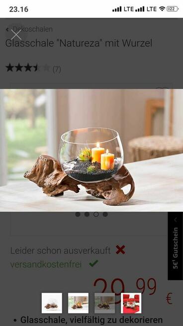 Akwarium Szklana miska Natureza korzeń wazon misa na owoce