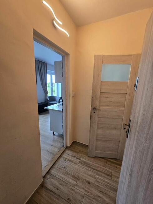 Wynajmę mieszkanie 25m² z ogrodem