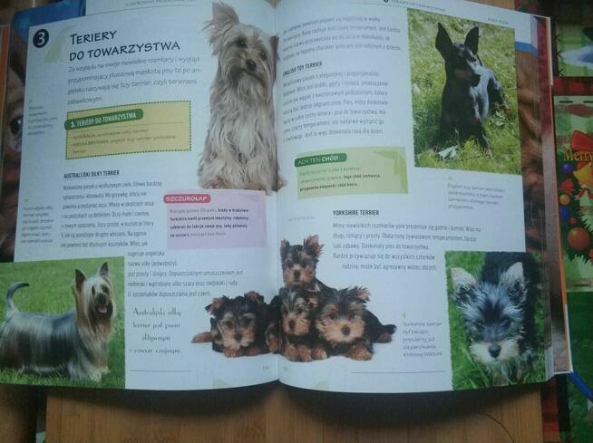 Książka Atlas Psy Ilustrowany przewodnik Rasy Psów poradnik