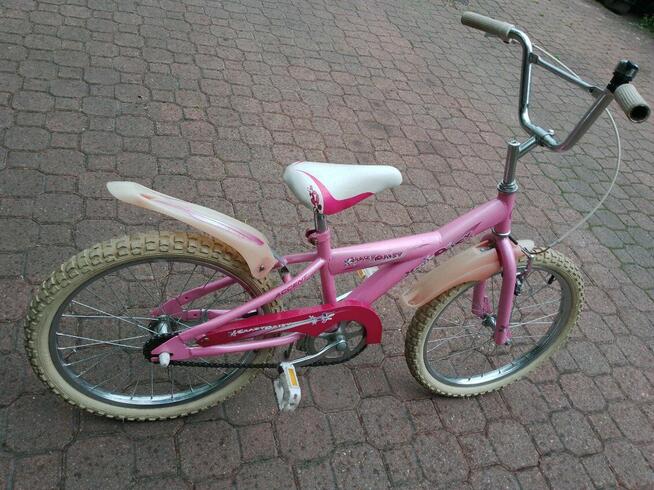 Rower dziecięcy Crazy Daisy koła 20 cali różowy