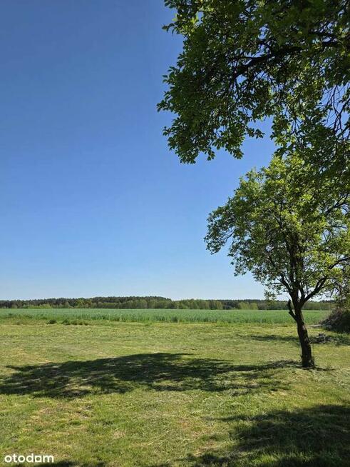 Piękne działki w Kaszczorze, blisko Jeziora Wieleńskiego