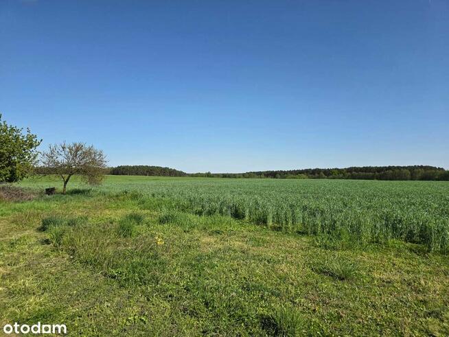 Piękne działki w Kaszczorze, blisko Jeziora Wieleńskiego
