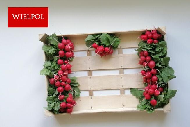 Skrzynki drewniane na rzodkiewki / Łuszczki do rzodkiewki