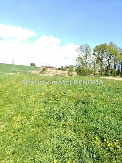 Działka Krzyżowice gm. Pawłowice, Szkolna