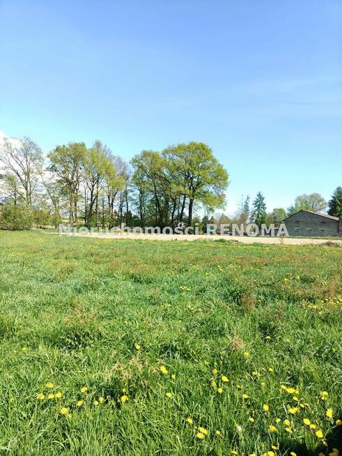 Działka Krzyżowice gm. Pawłowice, Szkolna