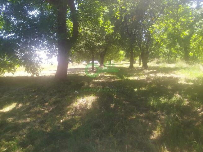 Działka budowlana Czajowice gm. Wielka Wieś, Łokietka