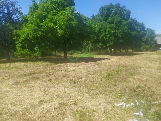 Działka budowlana Czajowice gm. Wielka Wieś, Łokietka