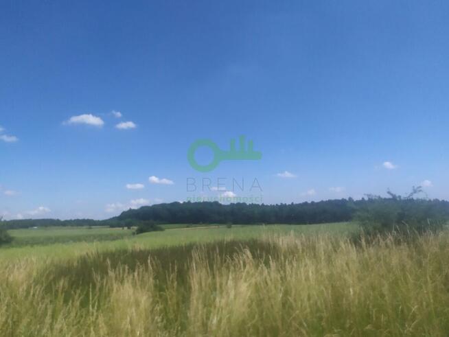 Działka budowlana Czajowice gm. Wielka Wieś, Łokietka