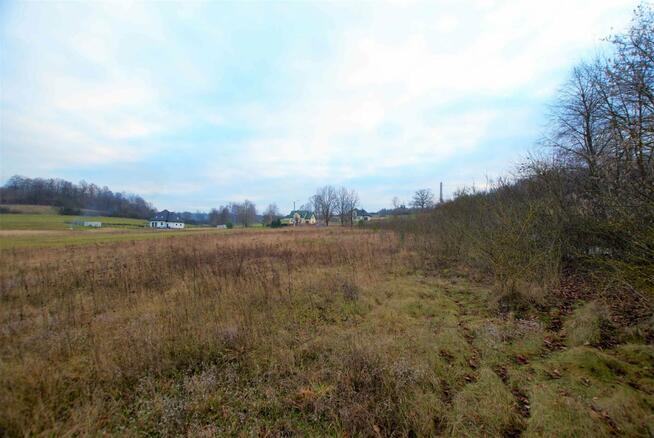 Działka Zajączków gm. Piekoszów