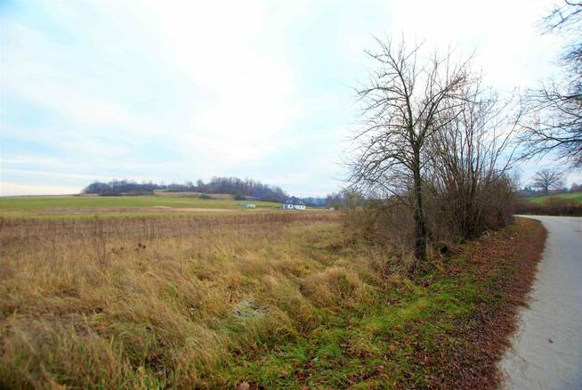 Działka Zajączków gm. Piekoszów