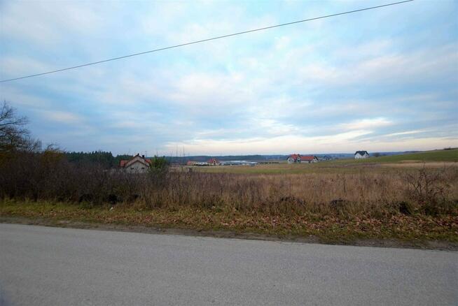 Działka Zajączków gm. Piekoszów