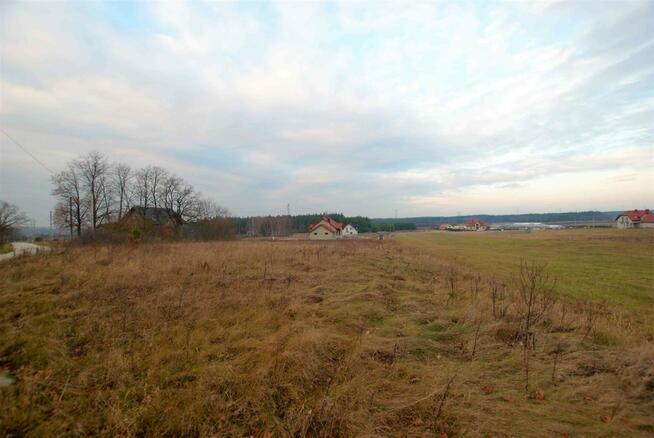 Działka Zajączków gm. Piekoszów