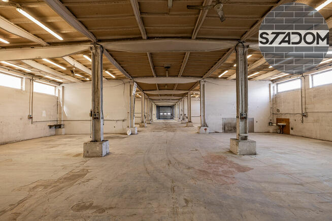 Do wynajęcia hala produkcyjno-magazynowa – 999 m²