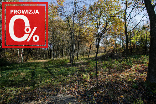 Działka budowlana- Koszyce Wielkie- Małopolska