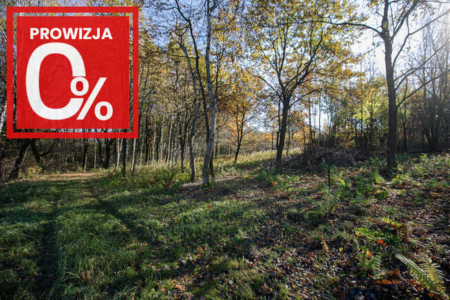 Działka budowlana- Koszyce Wielkie- Małopolska