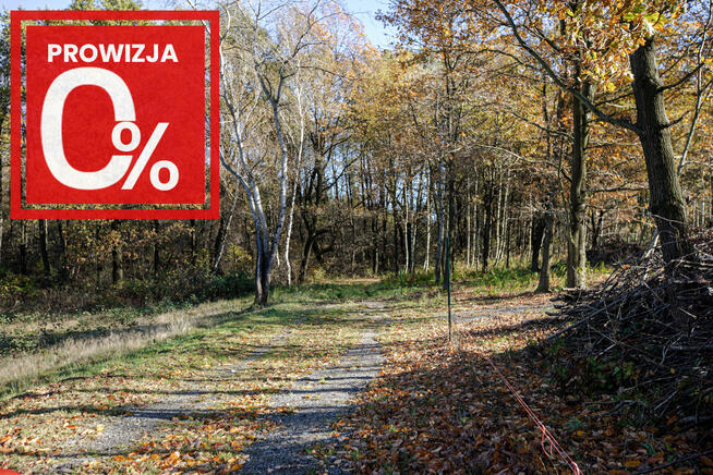 Działka budowlana- Koszyce Wielkie- Małopolska