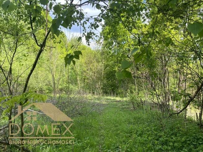 Działka rekreacyjna Rybnik Popielów