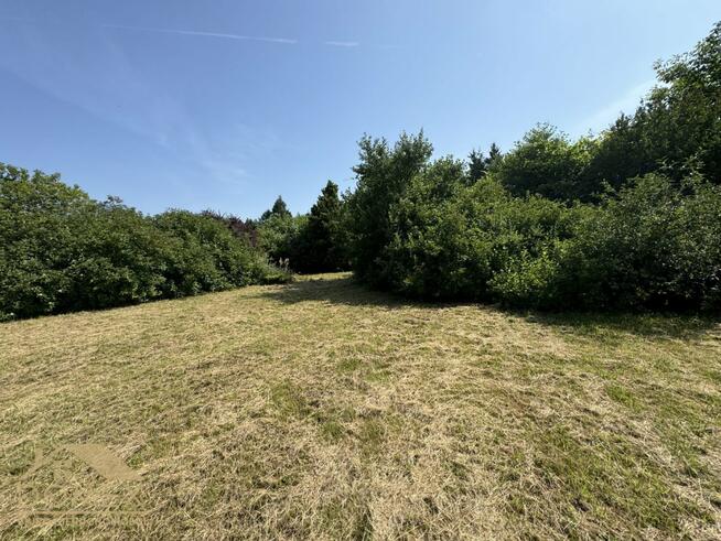 Działka Turza Śląska gm. Gorzyce