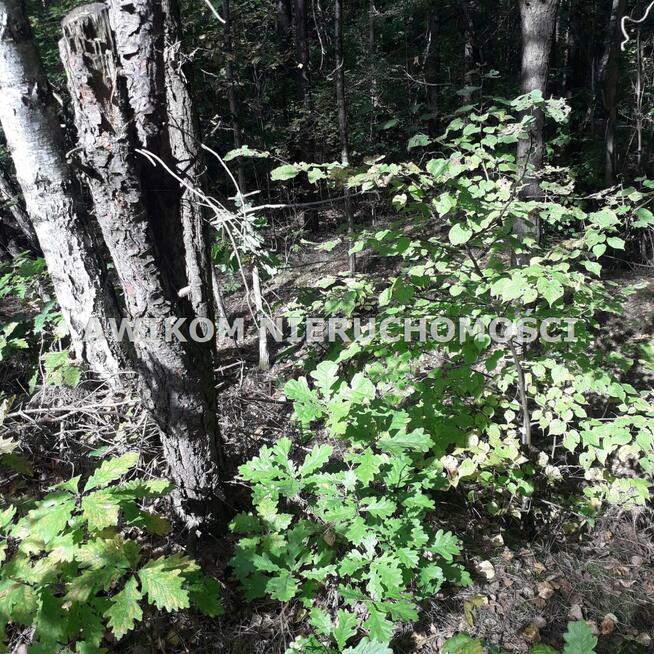 Działka budowlana Mościska gm. Grodzisk Mazowiecki
