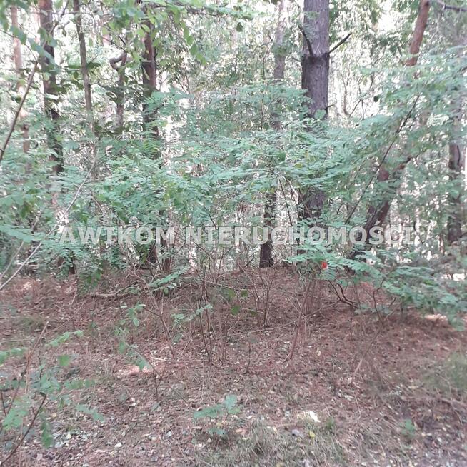 Działka budowlana Mościska gm. Grodzisk Mazowiecki