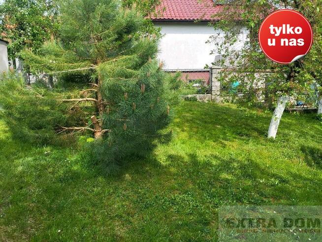 Połowa domu w cenie mieszkania