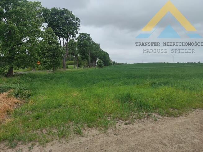 Duża działka budowlana Raduń , 3002 m2, 160 tys.!