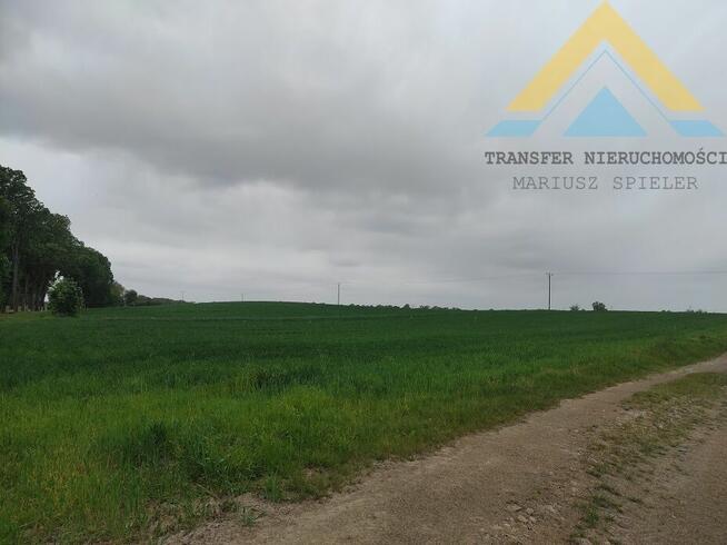 Duża działka budowlana Raduń , 3002 m2, 145 tys.!