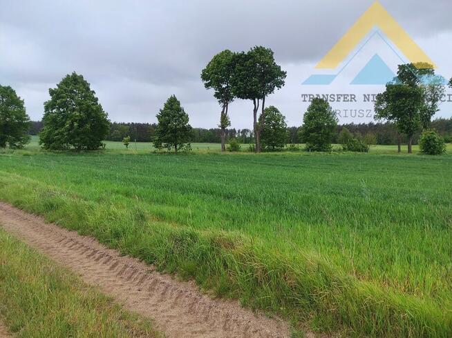 Duża działka budowlana Raduń , 3002 m2, 145 tys.!