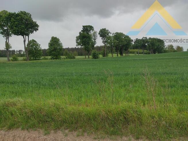 Duża działka budowlana Raduń , 3002 m2, 145 tys.!