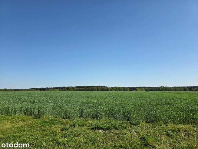 Piękne działki w Kaszczorze, blisko Jeziora Wieleńskiego