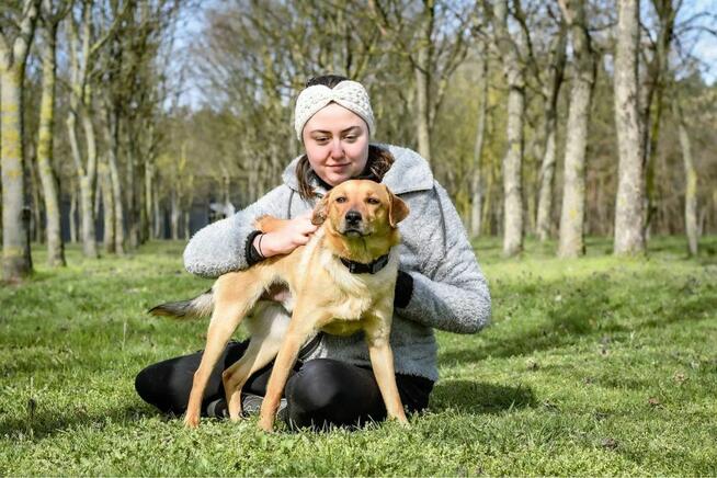 Miodek-cudowny, kontaktowy psiak do adopcji