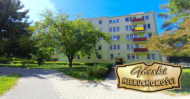 Mieszkanie 3-pok, 4 piętro, Orzeszkowej
