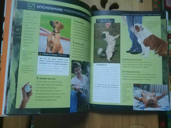 Książka Atlas Psy Ilustrowany przewodnik Rasy Psów poradnik