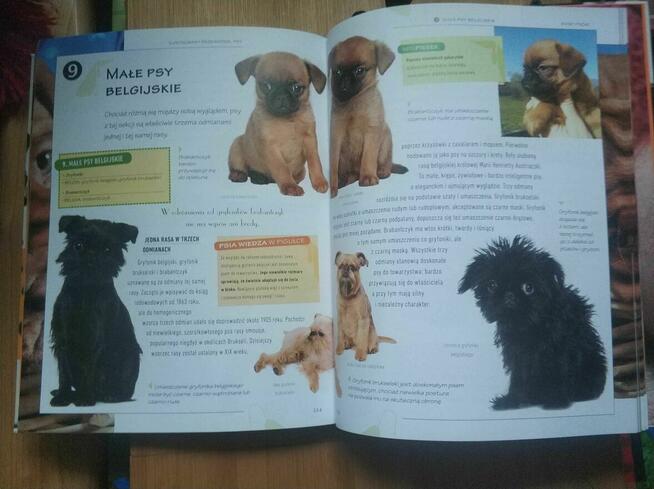 Książka Atlas Psy Ilustrowany przewodnik Rasy Psów poradnik