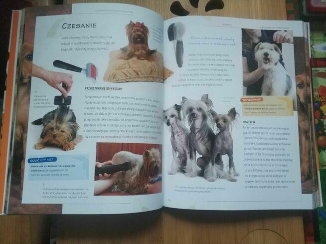 Książka Atlas Psy Ilustrowany przewodnik Rasy Psów poradnik