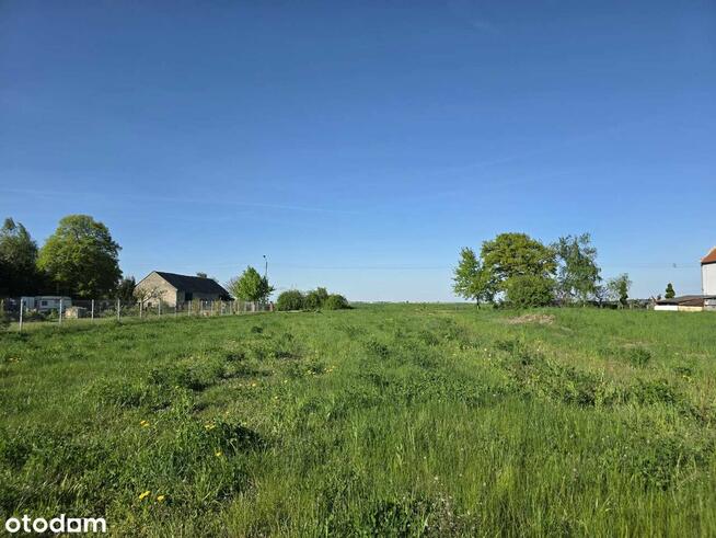 Działka budowlana w Dryżynie - blisko Głogowa!