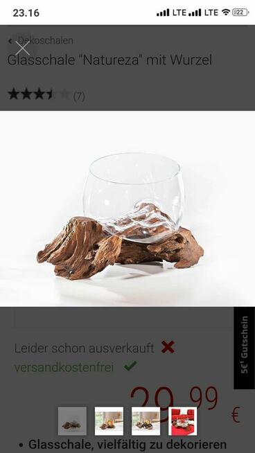 Akwarium Szklana miska Natureza korzeń wazon misa na owoce