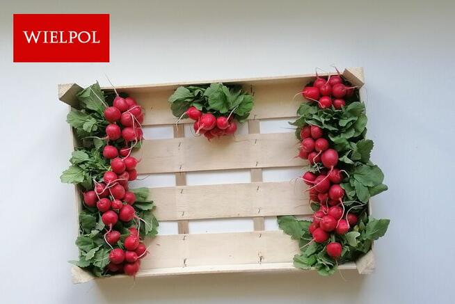 Skrzynki drewniane na rzodkiewki / Łuszczki do rzodkiewki