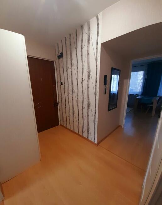 Mieszkanie do wynajęcia ul. Niemiecka