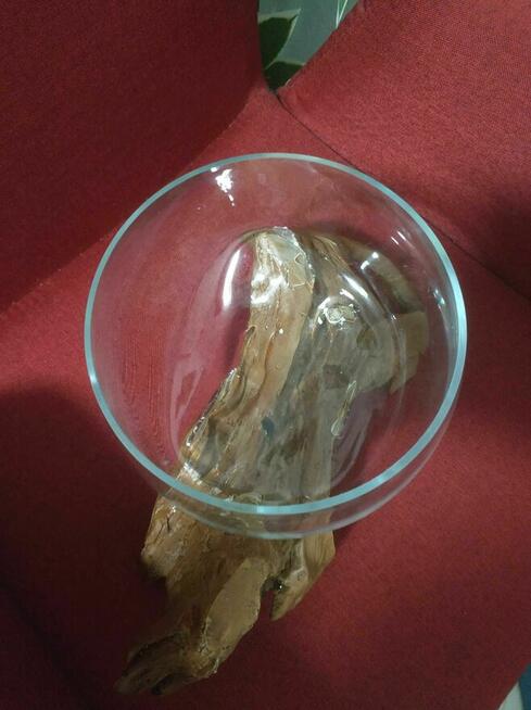 Akwarium Szklana miska Natureza korzeń wazon misa na owoce