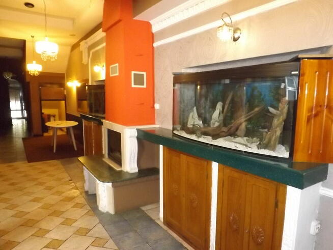 Sosnowiec, atrakcyjny lokal dwupoziomowy na wynajem