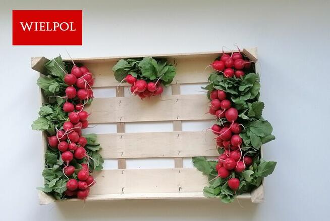 Skrzynki drewniane na rzodkiewki / Łuszczki do rzodkiewki