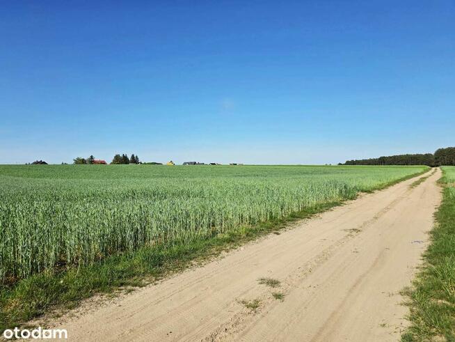 Piękne działki w Kaszczorze, blisko Jeziora Wieleńskiego