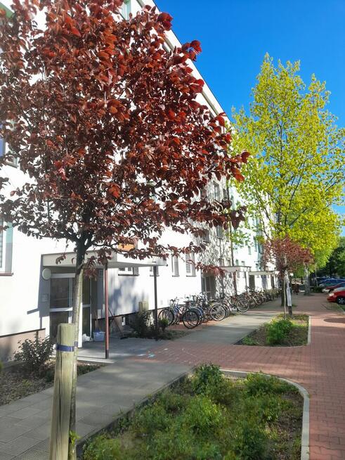 Mieszkanie do wynajęcia ul. Niemiecka